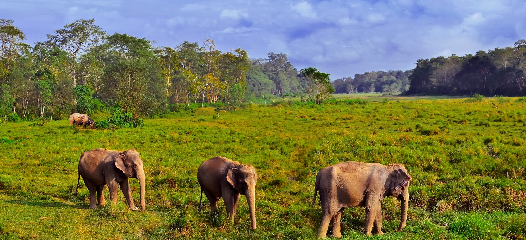 Unesco World Heritage Sites Tour In Nepal