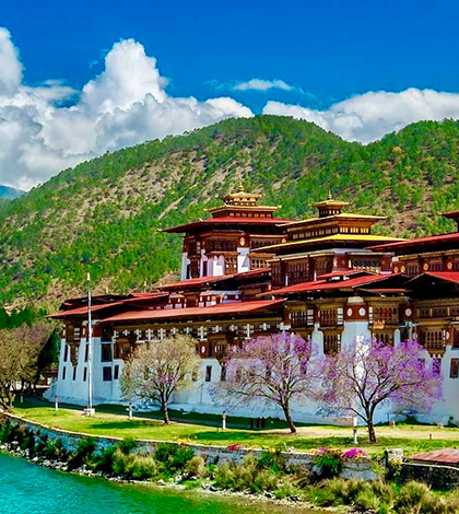 Mesmerizing deals Bhutan #07